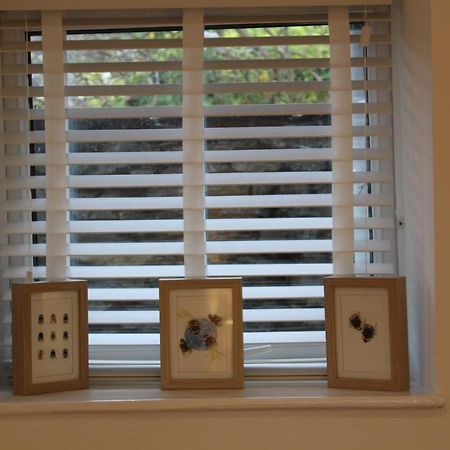 Rossett Pike Apartment Bowness-on-Windermere Ngoại thất bức ảnh
